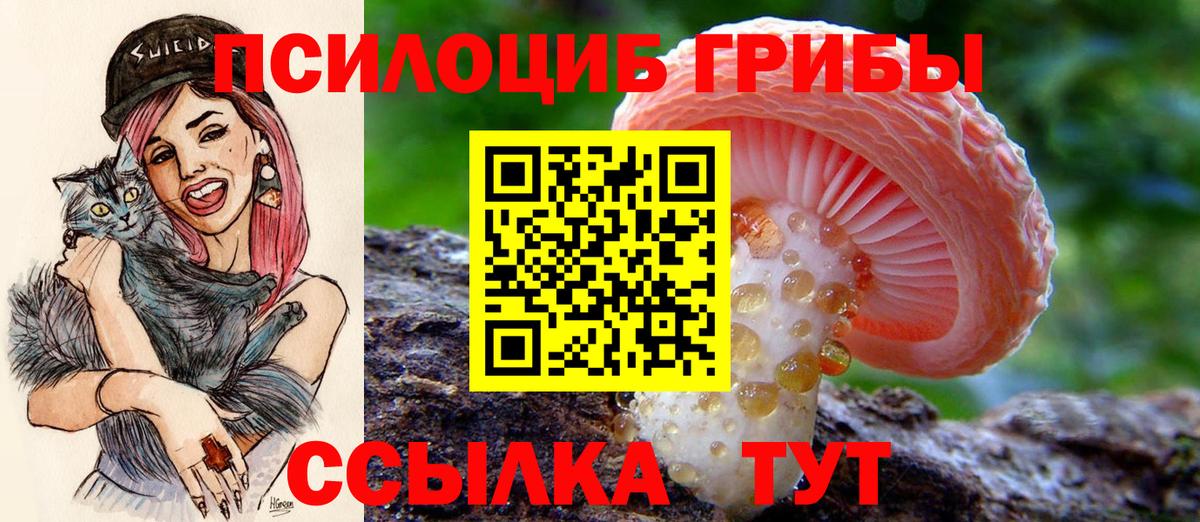 Галлюциногенные грибы Cubensis  Вход с VPN  Галлюциногенные грибы мухоморы  Нальчик 