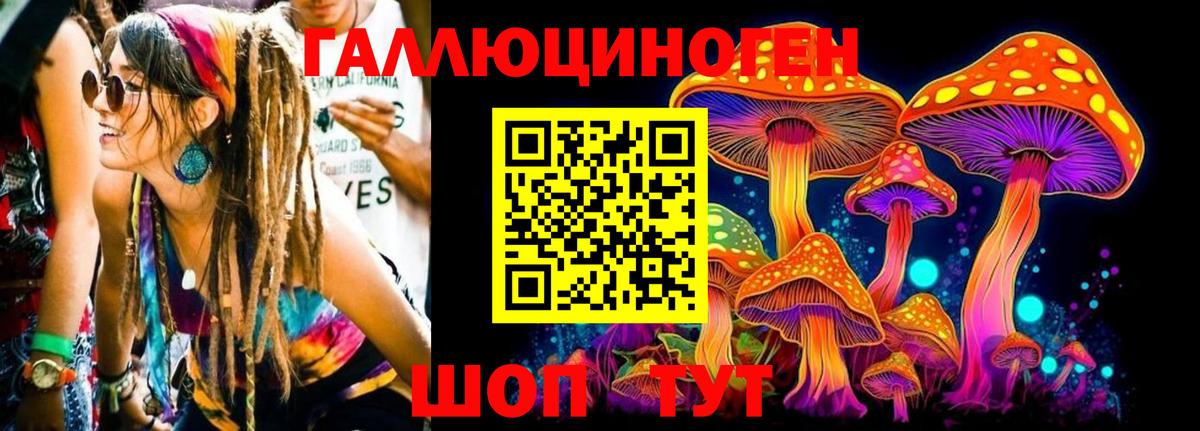 Галлюциногенные грибы Cubensis Нальчик